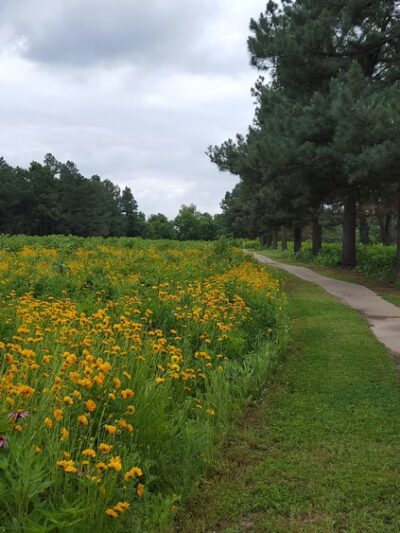 Hank Watson Park - Malden, MO