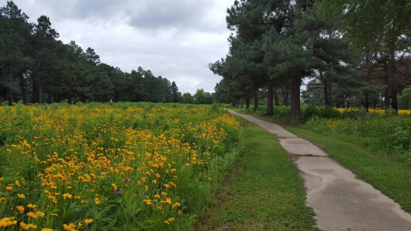 Hank Watson Park - Malden, MO