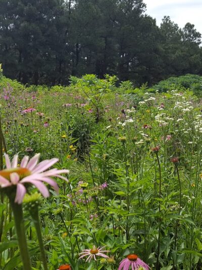 Hank Watson Park - Malden, MO