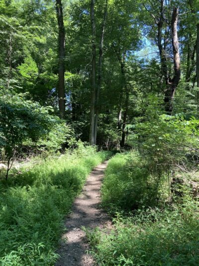 Randolph Woods - Malvern, PA