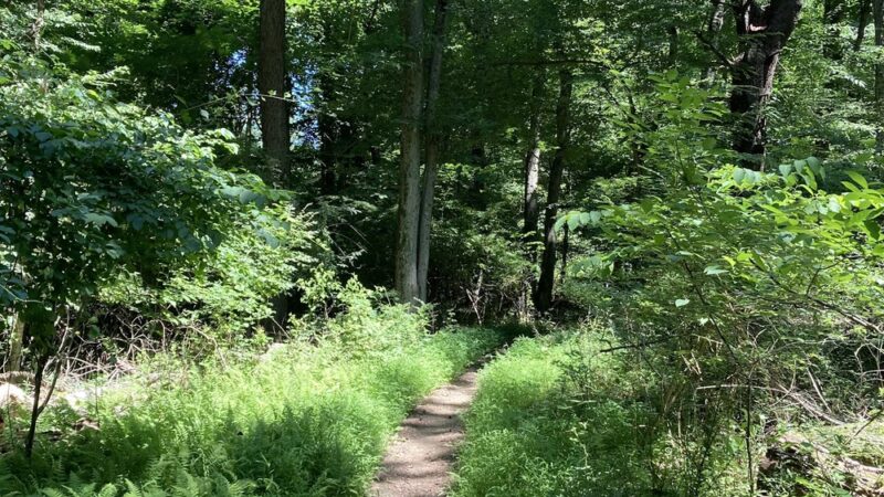 Randolph Woods - Malvern, PA