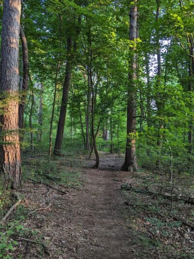 Randolph Woods - Malvern, PA