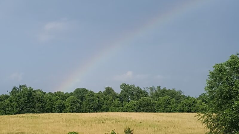 Brightside Farm-Charlestown Township - Malvern, PA