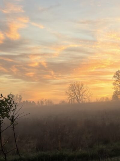 Brightside Farm-Charlestown Township - Malvern, PA