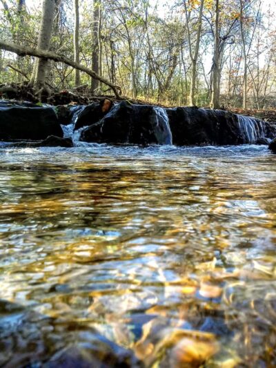 Cedar Hollow Park - Malvern, PA