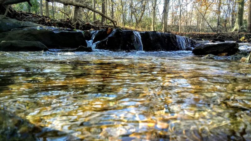 Cedar Hollow Park - Malvern, PA