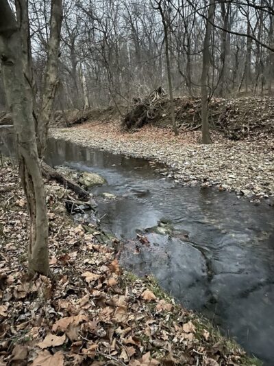 Cedar Hollow Park - Malvern, PA