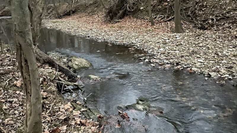Cedar Hollow Park - Malvern, PA