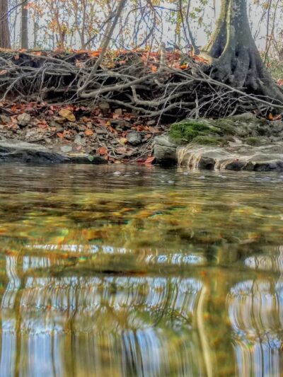 Cedar Hollow Park - Malvern, PA