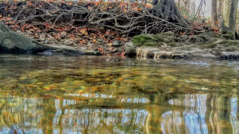 Cedar Hollow Park - Malvern, PA