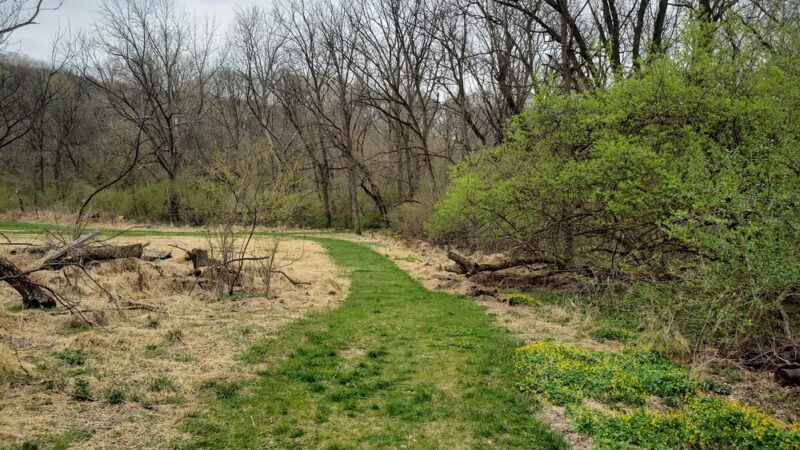 Cedar Hollow Preserve - Malvern, PA