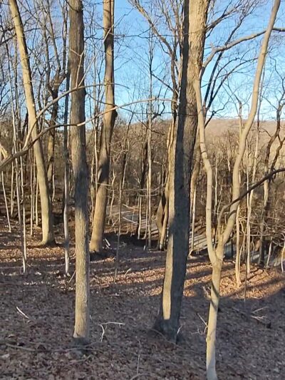 Cedar Hollow Preserve - Malvern, PA