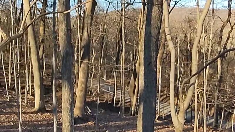 Cedar Hollow Preserve - Malvern, PA