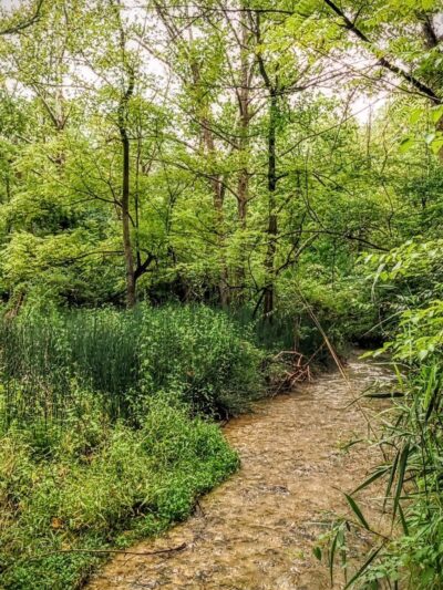 Cedar Hollow Preserve - Malvern, PA