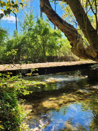 Cedar Hollow Preserve - Malvern, PA
