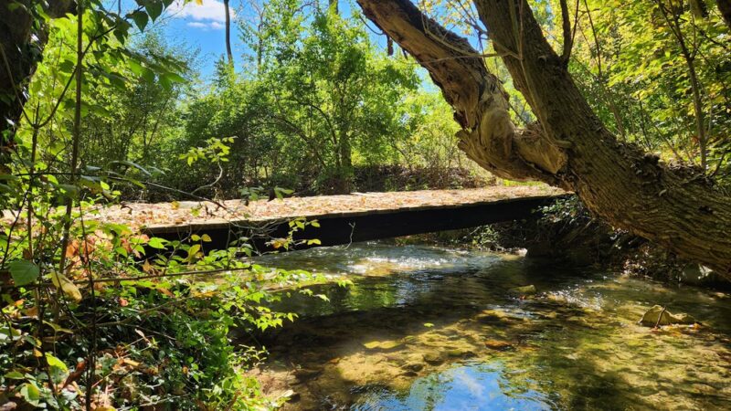 Cedar Hollow Preserve - Malvern, PA