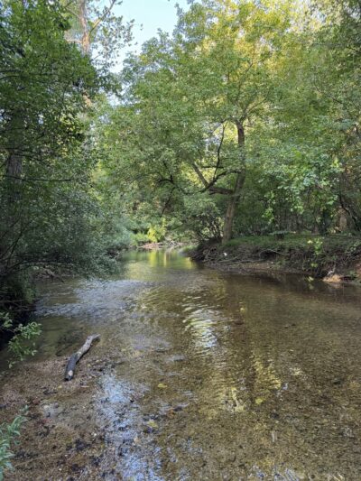Cedar Hollow Preserve - Malvern, PA