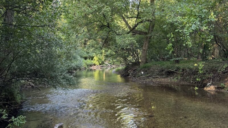 Cedar Hollow Preserve - Malvern, PA