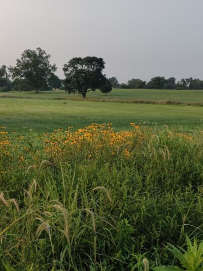 East Goshen Park - Malvern, PA