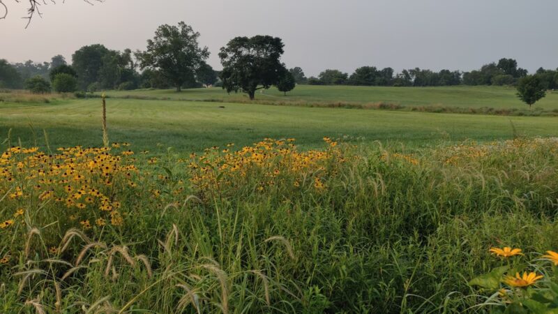 East Goshen Park - Malvern, PA