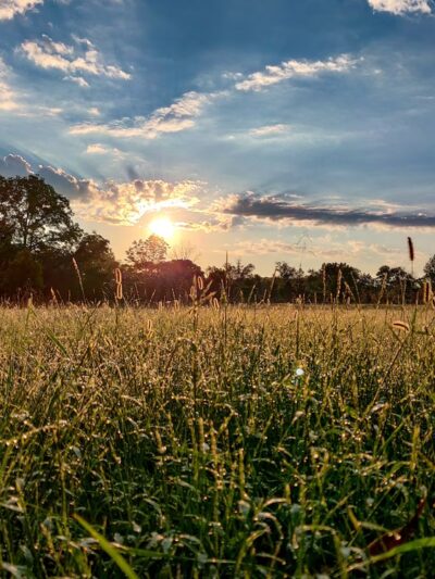 East Goshen Park - Malvern, PA