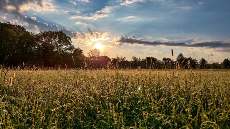 East Goshen Park - Malvern, PA