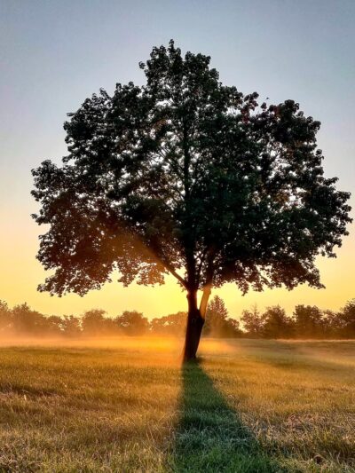 East Goshen Park - Malvern, PA