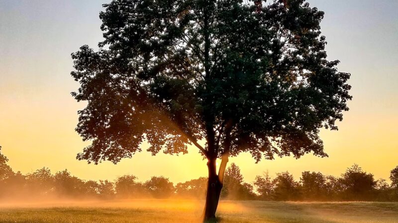 East Goshen Park - Malvern, PA