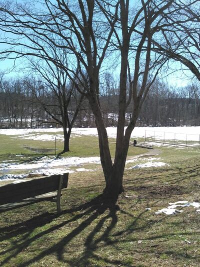 Mill Road Park - Malvern, PA