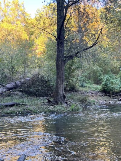 Valley Creek Trail - Malvern, PA