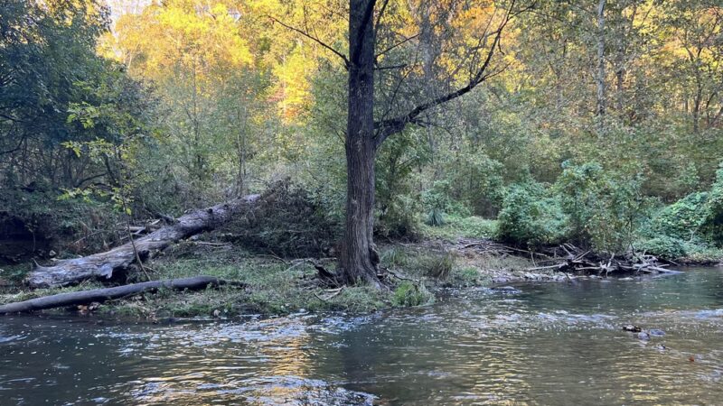 Valley Creek Trail - Malvern, PA