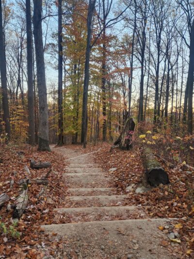 Yellow Springs Trail Parking Lot - Malvern, PA