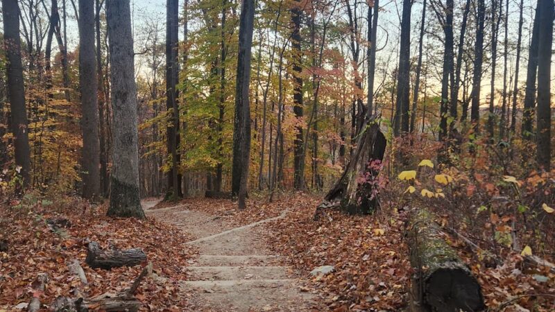 Yellow Springs Trail Parking Lot - Malvern, PA