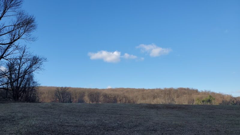 Yellow Springs Trail Parking Lot - Malvern, PA
