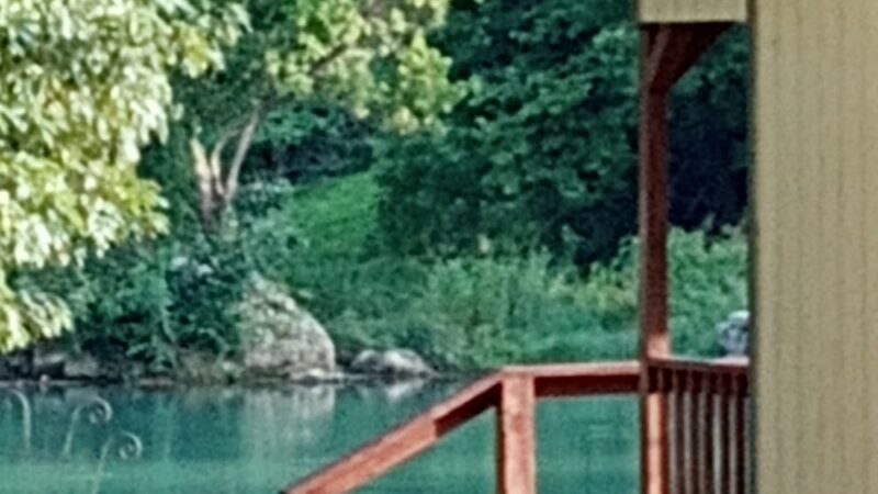 Mammoth Spring R.V. Park and Cabins - Mammoth Spring, AR