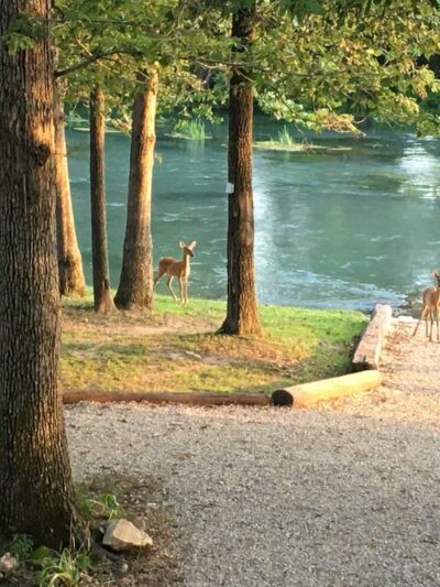 Mammoth Spring Retreat - Mammoth Spring, AR