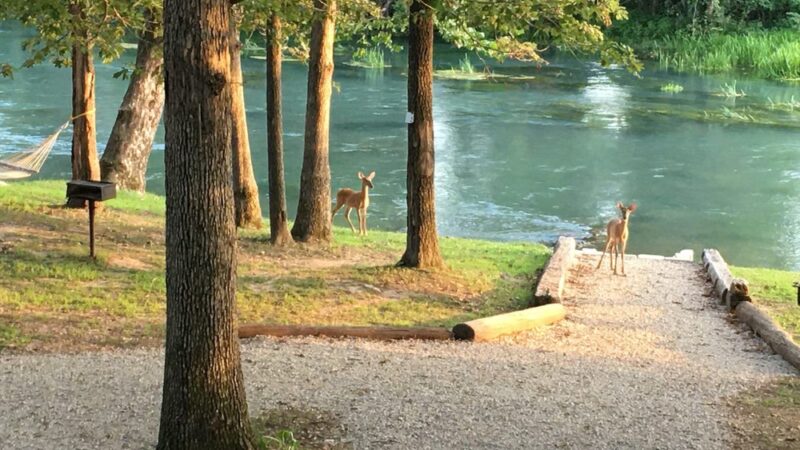 Mammoth Spring Retreat - Mammoth Spring, AR