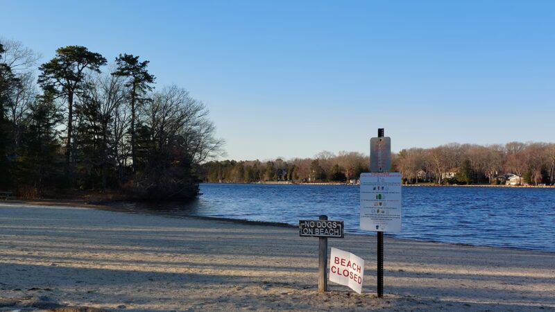 A. Paul King County Park - Manahawkin, NJ