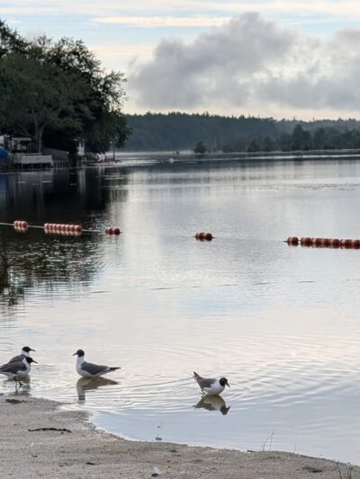 A. Paul King County Park - Manahawkin, NJ