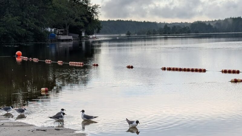 A. Paul King County Park - Manahawkin, NJ