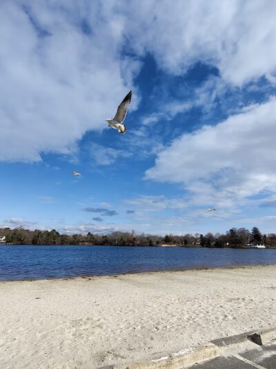 A. Paul King County Park - Manahawkin, NJ