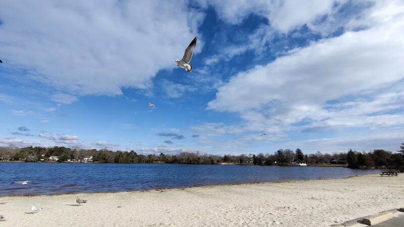 A. Paul King County Park - Manahawkin, NJ