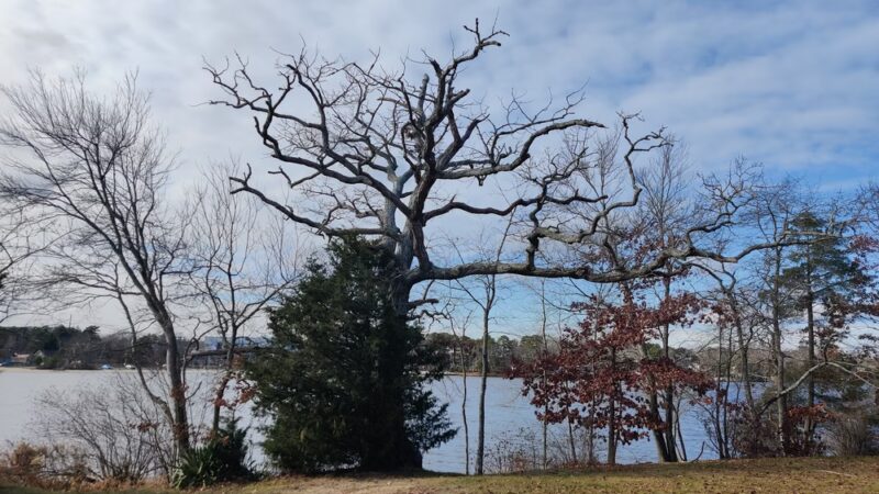 A. Paul King County Park - Manahawkin, NJ