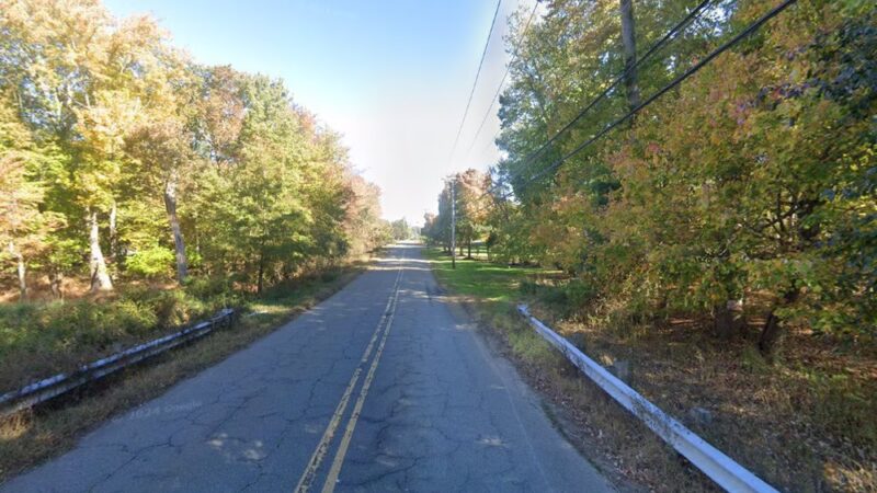 Dog Park - Manalapan Township, NJ