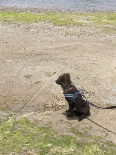 Stockton Beach Park - Manasquan, NJ
