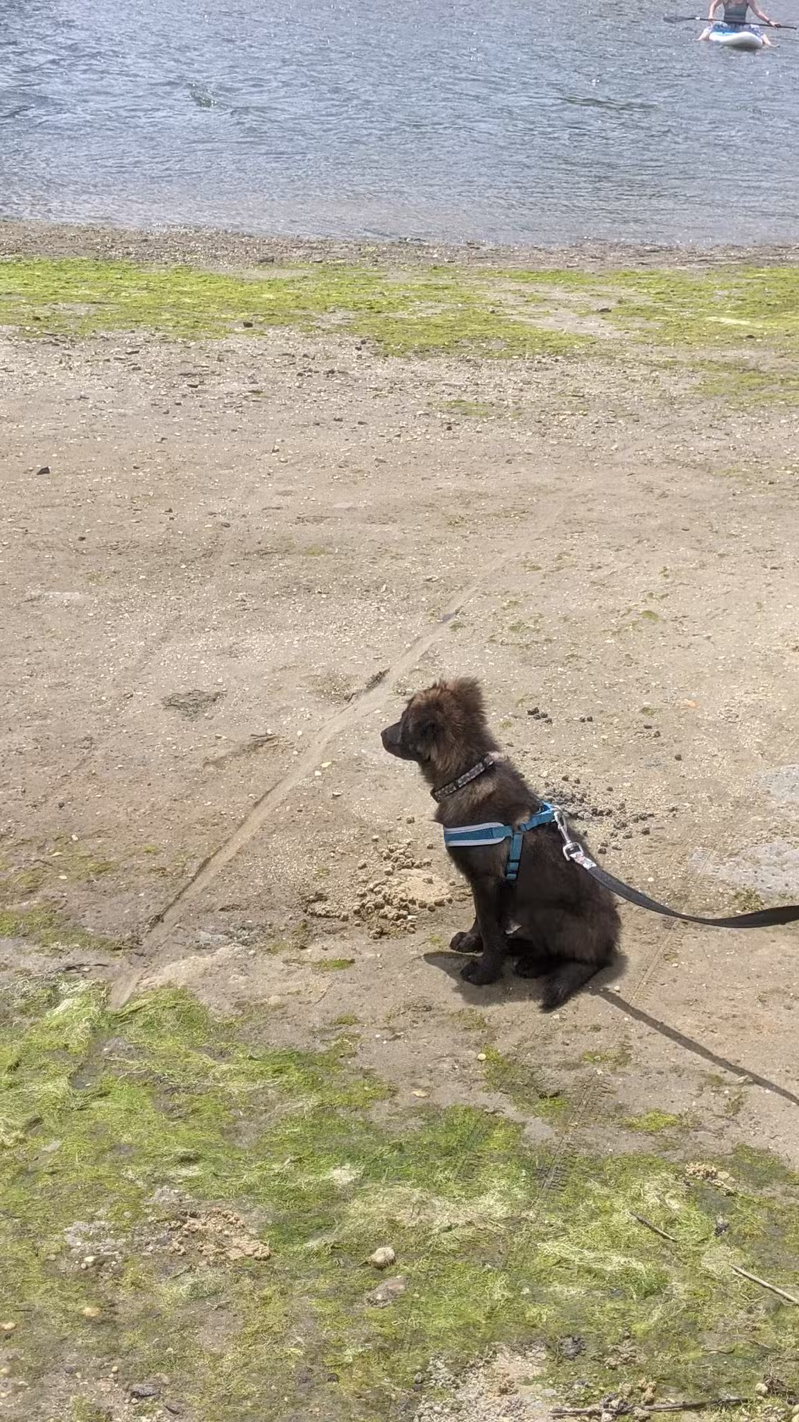 Stockton Beach Park - Manasquan, NJ