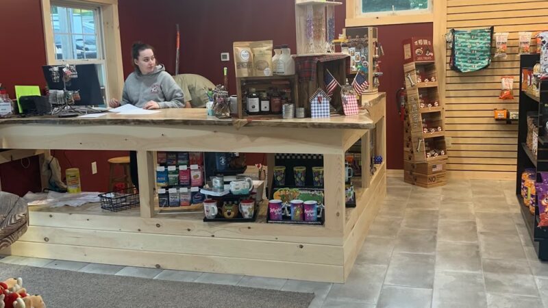 Jellystone Park™ Pennsylvania Wilds - Mansfield, PA