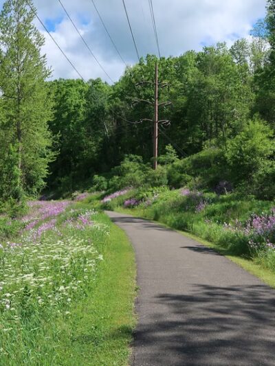 Lamb's Creek Bike and Hike Trail (Mansfield Access) - Mansfield, PA