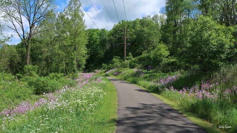 Lamb's Creek Bike and Hike Trail (Mansfield Access) - Mansfield, PA