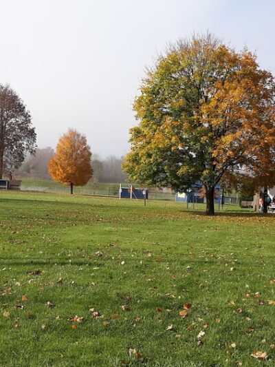 Smythe Park - Mansfield, PA